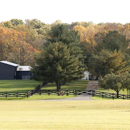 Donkeytown At Turner Farms Vila